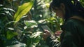 Asian Woman Researcher Analyzing Data on Tablet Amid Lush Green Forest Foliage Royalty Free Stock Photo