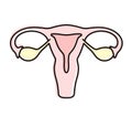 Woman uterus icon, vector illustration