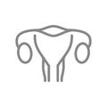 Woman uterus line icon. Healthy internal organ symbol