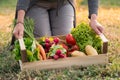 Woman With Vegetable Crate Royalty Free Stock Photo