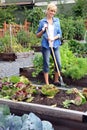 Woman vegetable garden Royalty Free Stock Photo