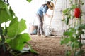 Woman in the vegetable garden with rake from the wooden wall of tools, healthy organic food produce