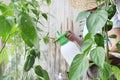 Mujer en jardín spray en hoja de planta coche 
