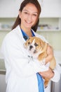 Woman vet, puppy and clinic portrait with smile, care and love for health, wellness or growth. Female veterinarian Royalty Free Stock Photo