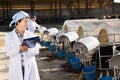 Woman veterinarian with clipboard on cow farm Royalty Free Stock Photo