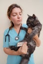 Woman veterinarian doctor holds sick cat close-up. Diagnostics of pets health in veterinary clinic concept Royalty Free Stock Photo