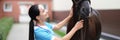 Woman veterinarian looks at the horse Royalty Free Stock Photo