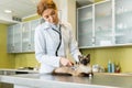 Woman veterinary ausculting cat with stethoscope