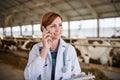 Woman veterinary doctor working on diary farm, agriculture industry.