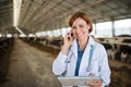 Woman veterinary doctor working on diary farm, agriculture industry.