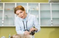 Woman veterinary examining cat