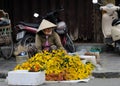 The woman in the Vietnam Market Royalty Free Stock Photo