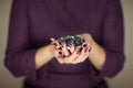 Woman in violett 50`s dress hands holding some blueberries Royalty Free Stock Photo