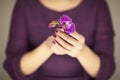 Woman in violett 50`s dress hands holding some orchid flowers Royalty Free Stock Photo