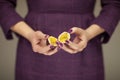 Woman in violett 50`s dress hands holding some passion fruits