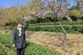 Woman visit the light pink cerasus serrulata in the tea gardens, adobe rgb