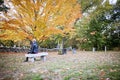 Woman visiting grave in cemetery Royalty Free Stock Photo
