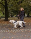 Woman with visual impairment walking with a guide dog through park Royalty Free Stock Photo