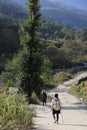 a woman walk in the Poonhill trekking circle near the Birethanti, Gangdaki Royalty Free Stock Photo