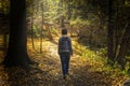 Lonely Woman Walking on Forest Path Royalty Free Stock Photo