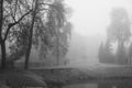 Woman walking alone through thick fog on a cold autumn morning Royalty Free Stock Photo