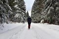 Woman walking alone in winter forest Royalty Free Stock Photo