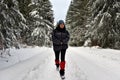 Woman walking alone in winter forest Royalty Free Stock Photo