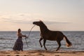 Woman walking along the beach with her large white horse, as the sun rises in Royalty Free Stock Photo