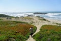 A woman walking along a beach beside highway 1 in northern california,