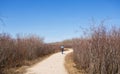 A woman walking along a hiking trail Royalty Free Stock Photo