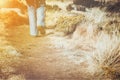 Woman walking along a mountain footpath Royalty Free Stock Photo