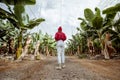 Woman walking on the bannana plantation