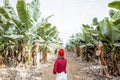 Woman walking on the bannana plantation