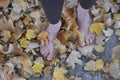 Barefoot woman walking in leaves Royalty Free Stock Photo