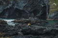 Woman walking by black stone rocky volcanic coastline of Vestmannaeyjar island