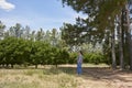 Woman walking in the countryside, resting from the sun under the shade of a tree Royalty Free Stock Photo