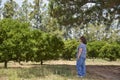 Woman walking in the countryside, resting from the sun under the shade of a tree Royalty Free Stock Photo