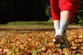 Woman walking cross country trail in autumn forest Royalty Free Stock Photo