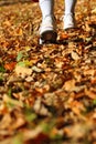 Woman walking cross country trail in autumn forest Royalty Free Stock Photo