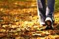 Woman walking cross country trail in autumn forest Royalty Free Stock Photo