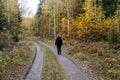 Woman walking on a dirt road in a fall colored forest Royalty Free Stock Photo