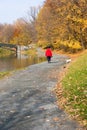 Woman Walking Dog Royalty Free Stock Photo