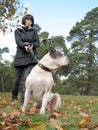 Woman walking dog Royalty Free Stock Photo