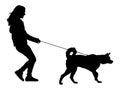 Woman walking with dog silhouette. Royalty Free Stock Photo