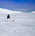 Woman walking with dog in snow Royalty Free Stock Photo