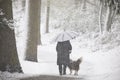 Woman walking dog in snowing forest