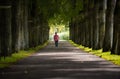 Woman walking with dog among trees in Germany Royalty Free Stock Photo