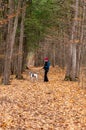 Woman and her dog walking through the forest Royalty Free Stock Photo