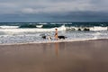 Woman walking dogs along the beaches Royalty Free Stock Photo