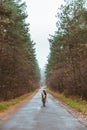 woman walking by empty autumn road Royalty Free Stock Photo